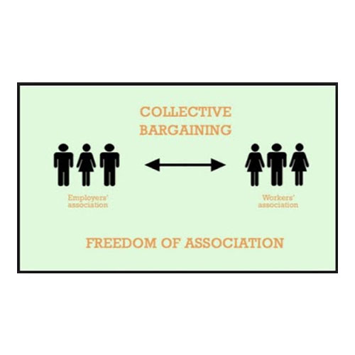 freedom of associatiion